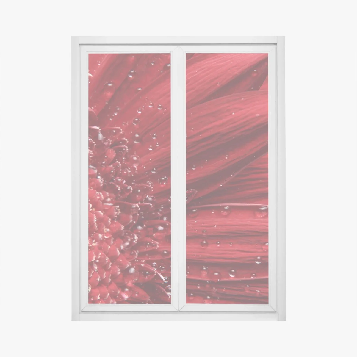 Sticker pour vitres et fenêtres gerbera rouge en gros plan – Wallnifity® Sticker pour vitres et fenêtres gerbera rouge en gros plan – Wallnifity®