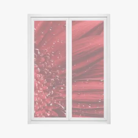 Sticker pour vitres et fenêtres gerbera rouge en gros plan – Wallnifity®