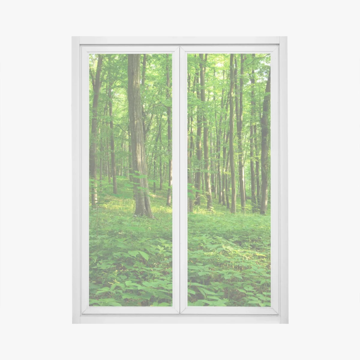 Sticker pour vitres et fenêtres forêt verdoyante au printemps – Wallnifity® Sticker pour vitres et fenêtres forêt verdoyante au printemps – Wallnifity®