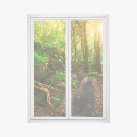 Sticker pour vitres et fenêtres chemin verdoyant dans la forêt jurassique de Tasmanie – Wallnifity®