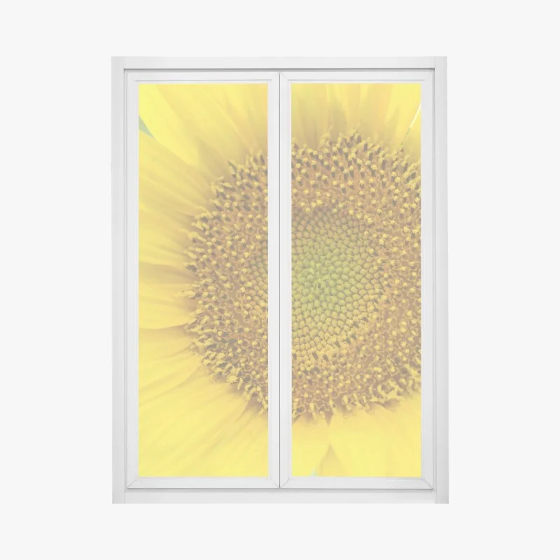 Stickers pour vitres et fenêtres – Wallnifity®