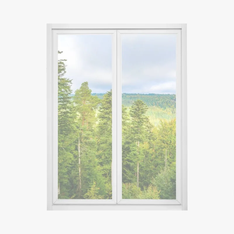 Stickers pour vitres et fenêtres – Wallnifity®