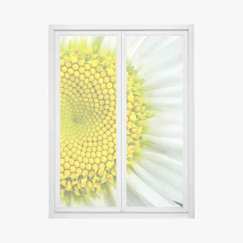 Sticker pour vitres et fenêtres marguerite en gros plan : spirale botanique – Wallnifity® Sticker pour vitres et fenêtres marguerite en gros plan : spirale botanique – Wallnifity®