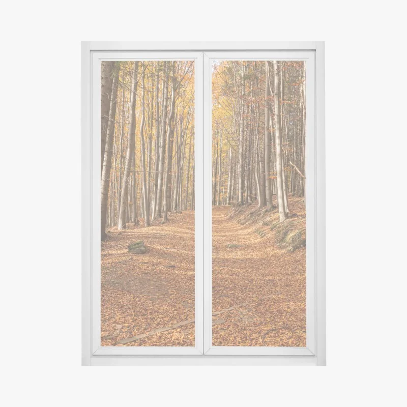 Forêts – Wallnifity®