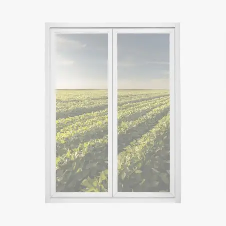 Sticker pour vitres et fenêtres champ de soja au coucher du soleil – Wallnifity®