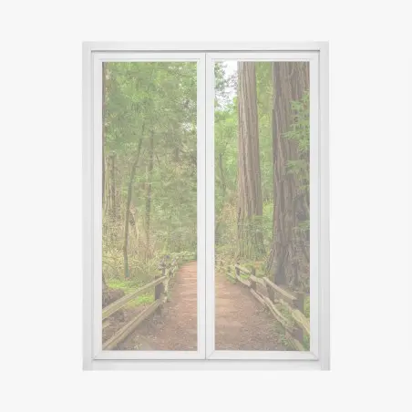Sticker pour vitres et fenêtres promenade sous les séquoias centenaires – Wallnifity®