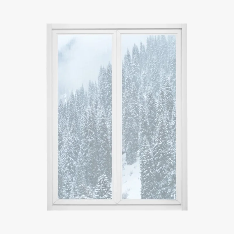 Scandinave – Wallnifity®