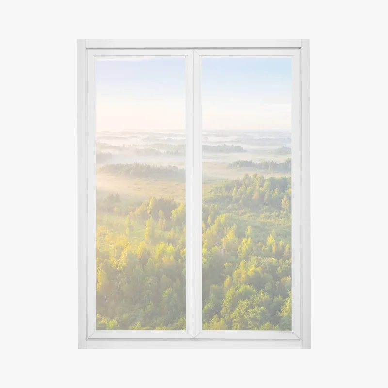 Stickers pour vitres et fenêtres – Wallnifity®