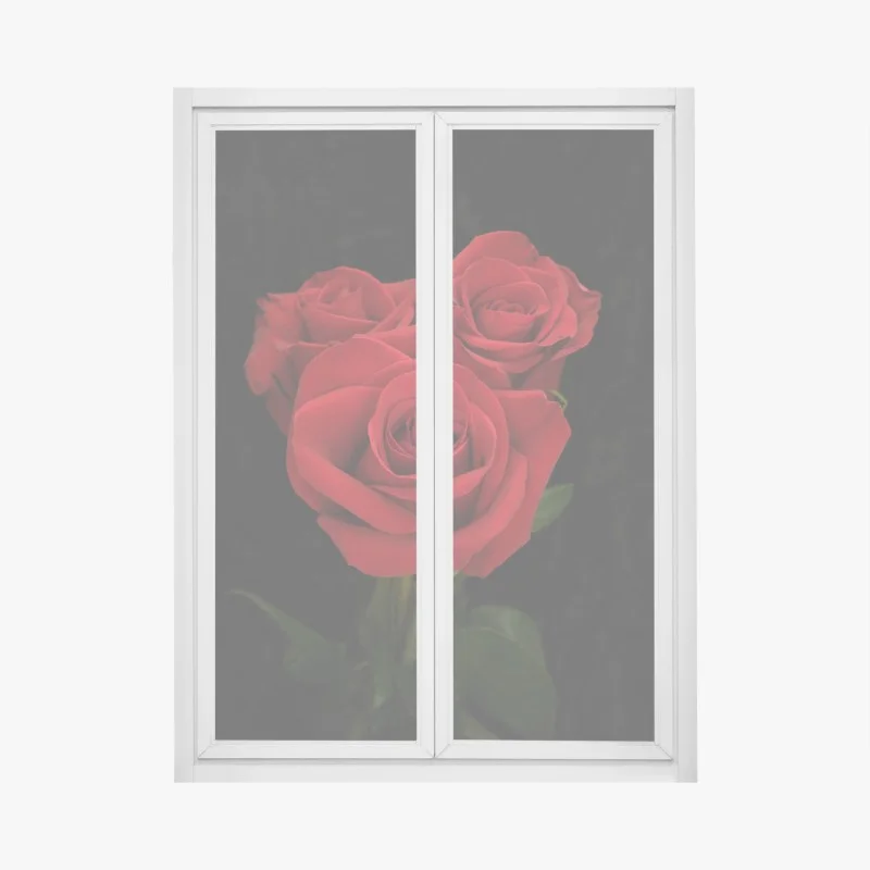 Stickers pour vitres et fenêtres – Wallnifity®