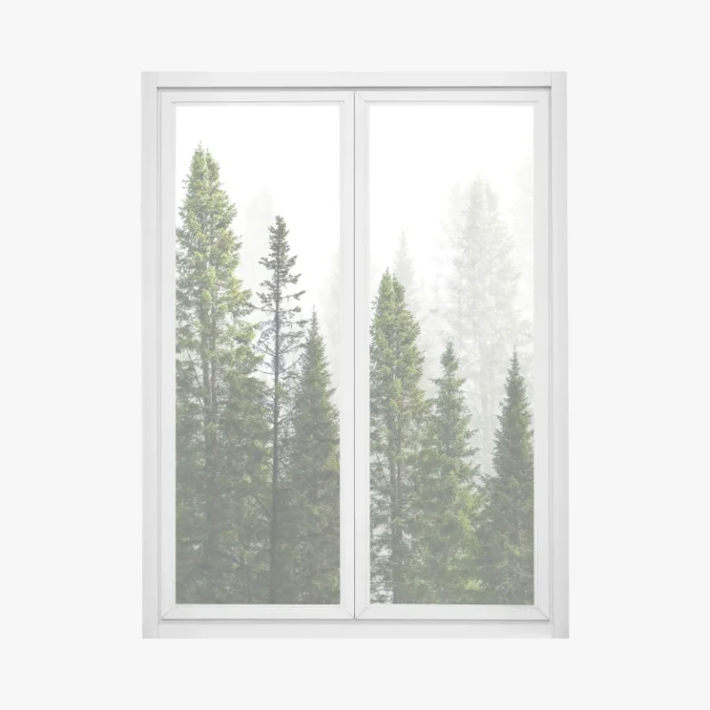 Stickers pour vitres et fenêtres – Wallnifity®