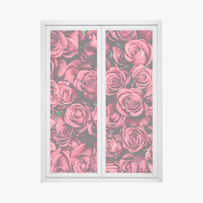 Stickers pour vitres et fenêtres – Wallnifity®