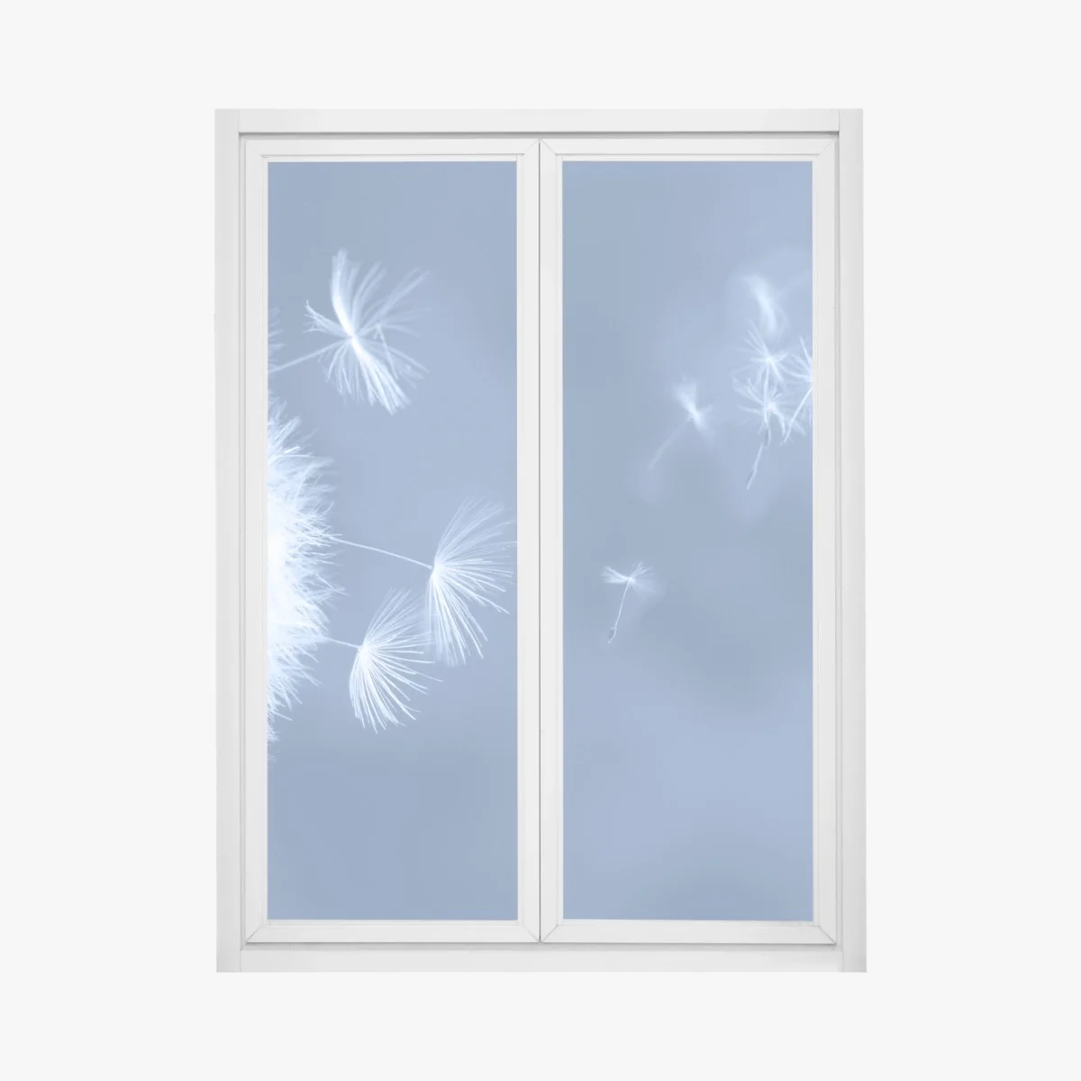 Sticker pour vitres et fenêtres pissenlit en suspension sur fond bleu – Wallnifity® Sticker pour vitres et fenêtres pissenlit en suspension sur fond bleu – Wallnifity®