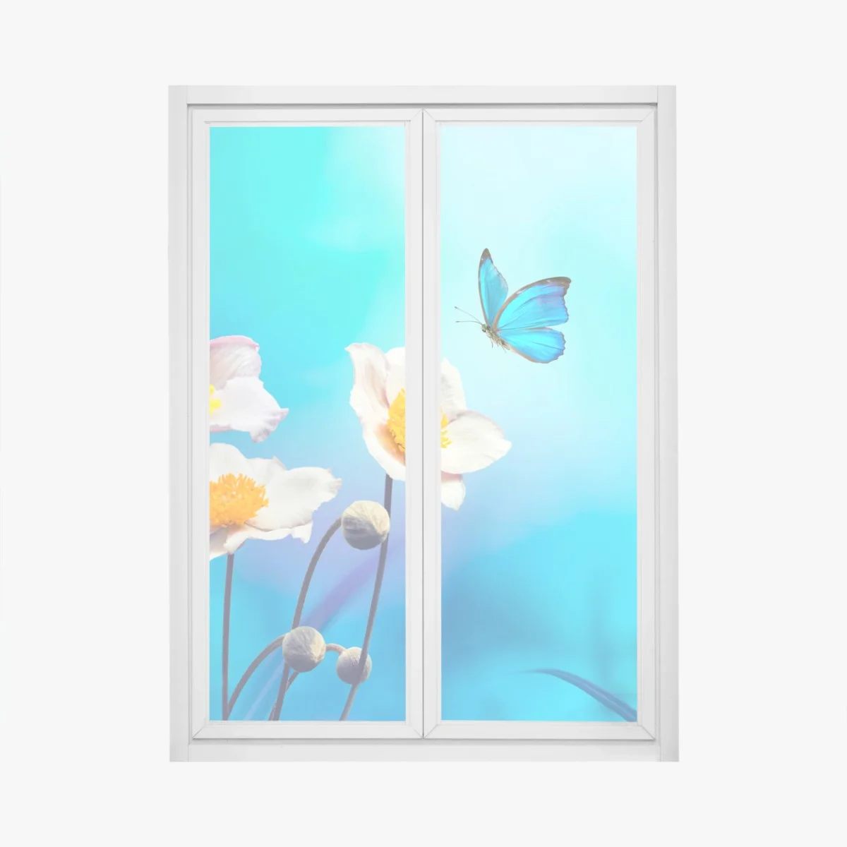 Sticker pour vitres et fenêtres élégance printanière — anémones et papillon bleu – Wallnifity® Sticker pour vitres et fenêtres élégance printanière — anémones et papillon bleu – Wallnifity®