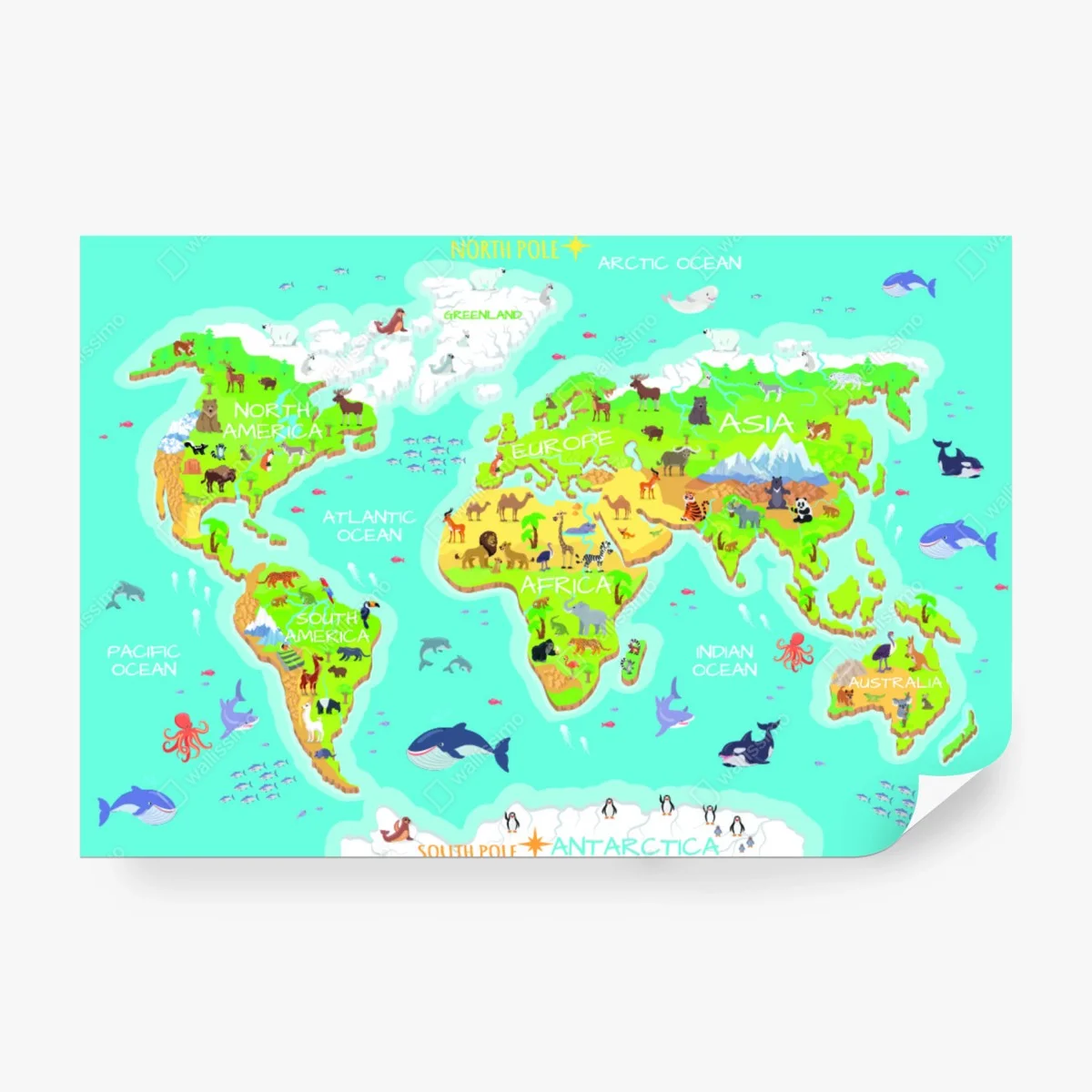 Wall mural colorful animal world map for kids – Wallnifity® Wall mural colorful animal world map for kids – Wallnifity®