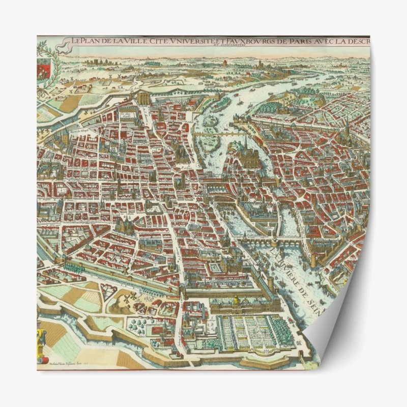 Cartes – Wallnifity®