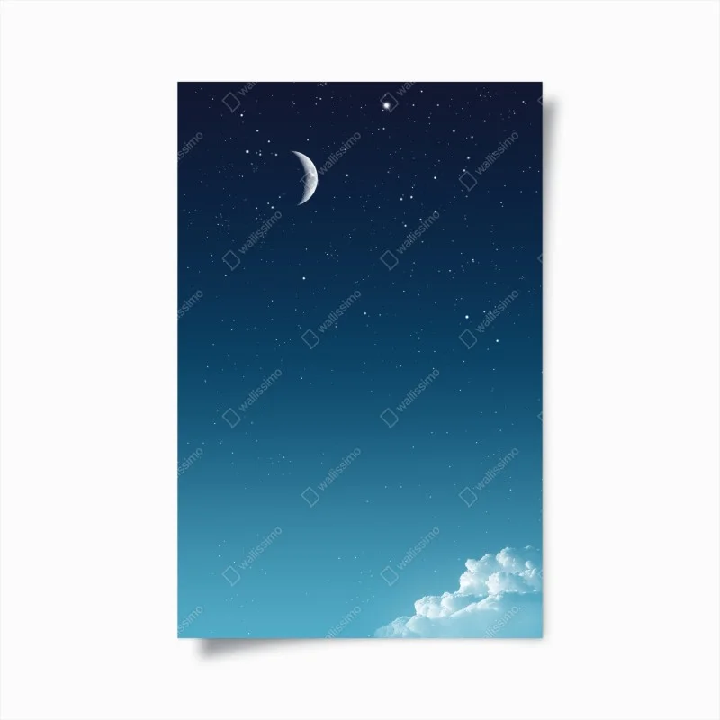 Posters – Wallnifity®