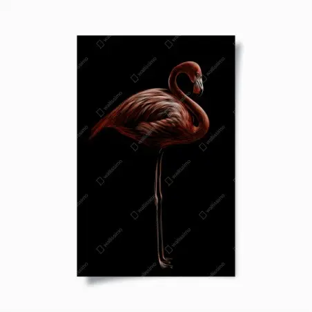 Poster flamant rouge élégant sur fond noir – Wallnifity®