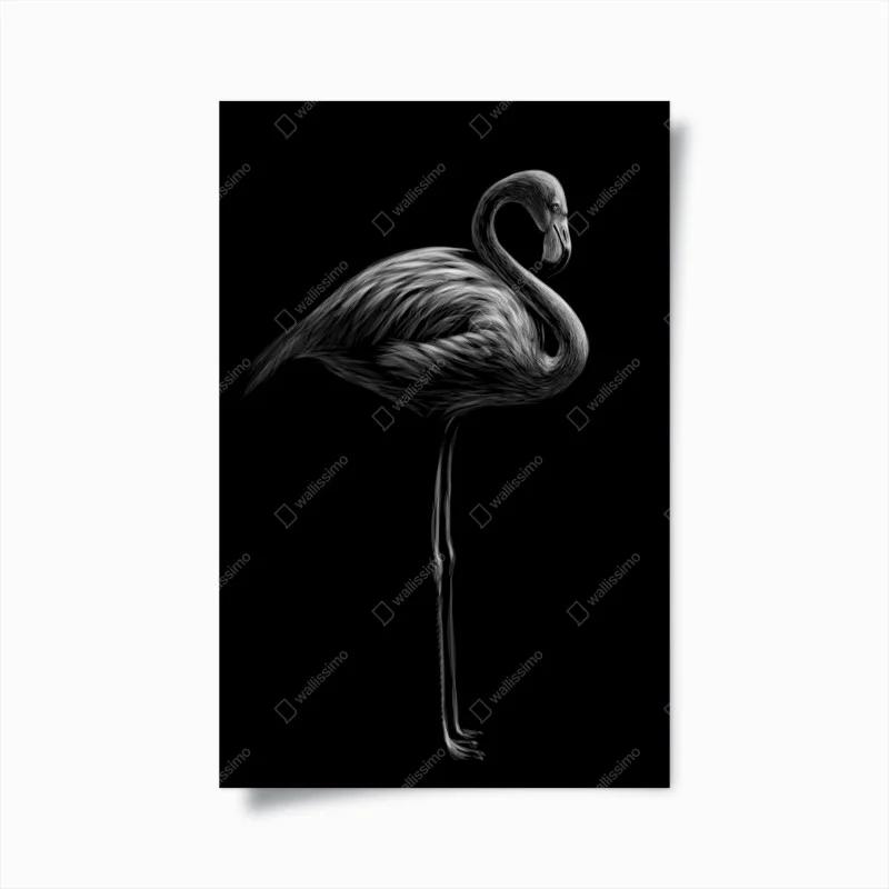 Posters – Wallnifity®