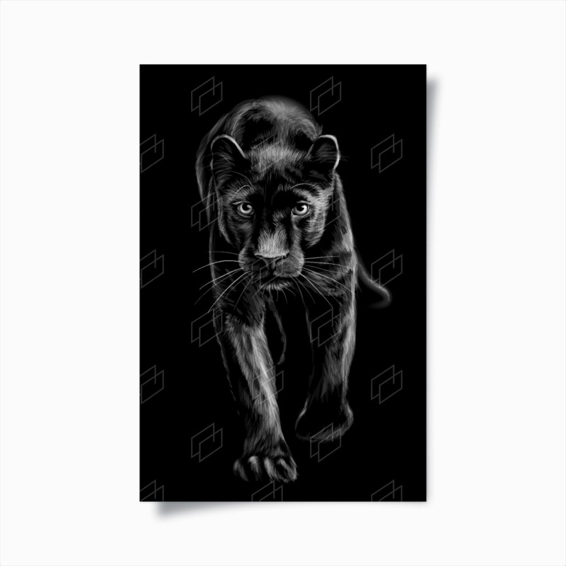 Animaux sauvages – Wallnifity®