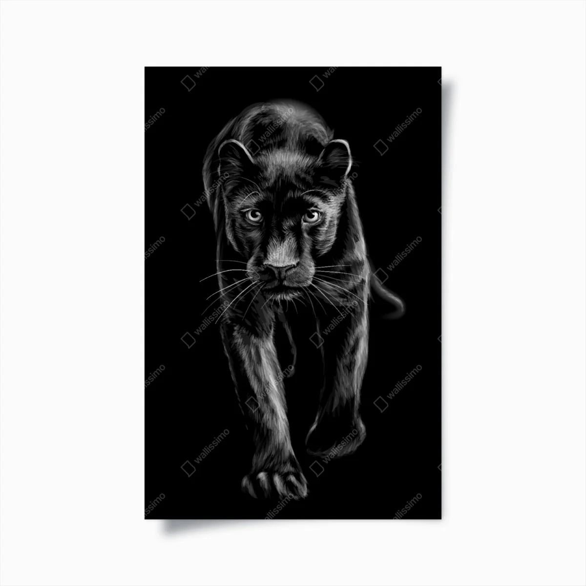 Poster panthère noire en marche – Wallnifity® Poster panthère noire en marche – Wallnifity®