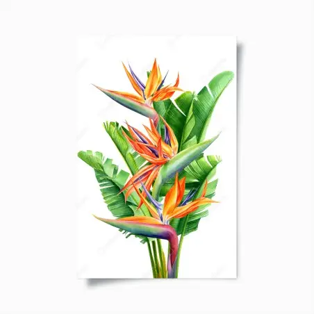 Poster élégance tropicale — oiseau de paradis en aquarelle – Wallnifity®