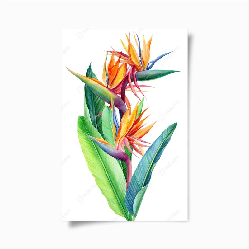 Posters – Wallnifity®