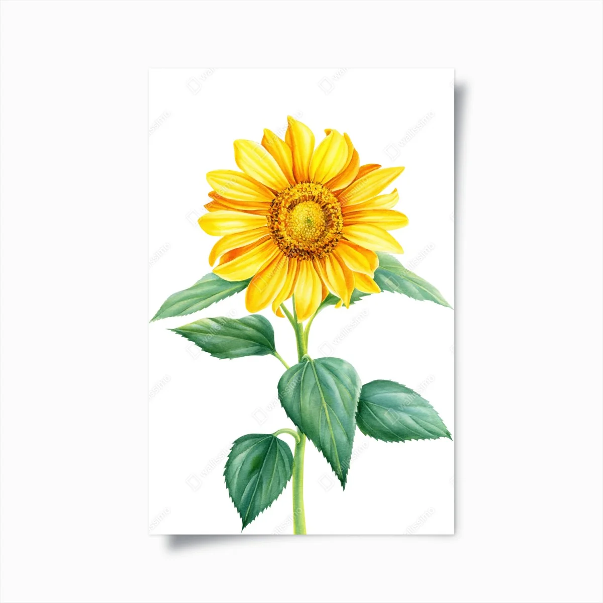 Poster tournesol lumineux en aquarelle – Wallnifity® Poster tournesol lumineux en aquarelle – Wallnifity®