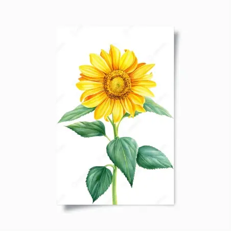 Poster tournesol lumineux en aquarelle – Wallnifity®