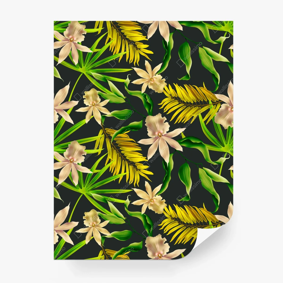 Papier peint motif tropical d'orchidées et de feuilles exotiques sur fond sombre – Wallnifity®