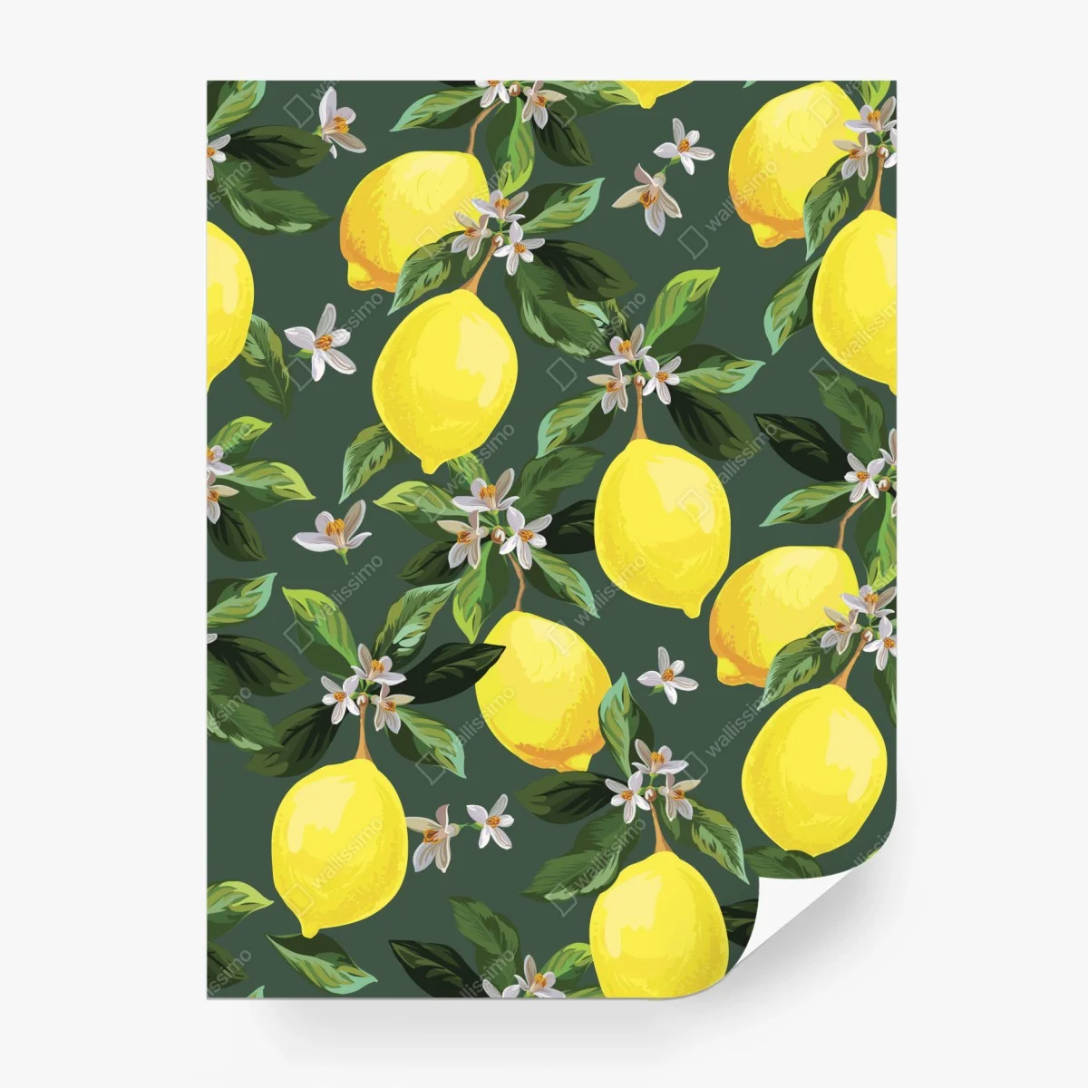 Papier peint motif citrons et fleurs sur fond vert – Wallnifity® Papier peint motif citrons et fleurs sur fond vert – Wallnifity®