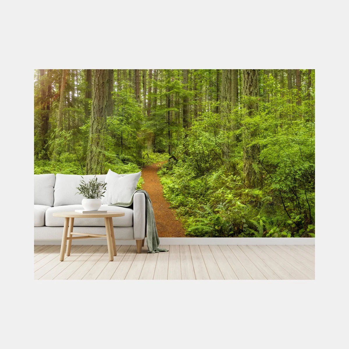 Papier peint sentier forestier verdoyant et paisible – Wallnifity® Papier peint sentier forestier verdoyant et paisible – Wallnifity®