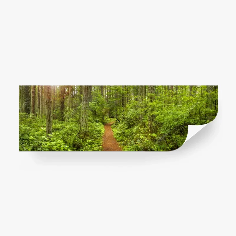 Papier peint sentier forestier verdoyant et paisible – Wallnifity® Papier peint sentier forestier verdoyant et paisible – Wallnifity®