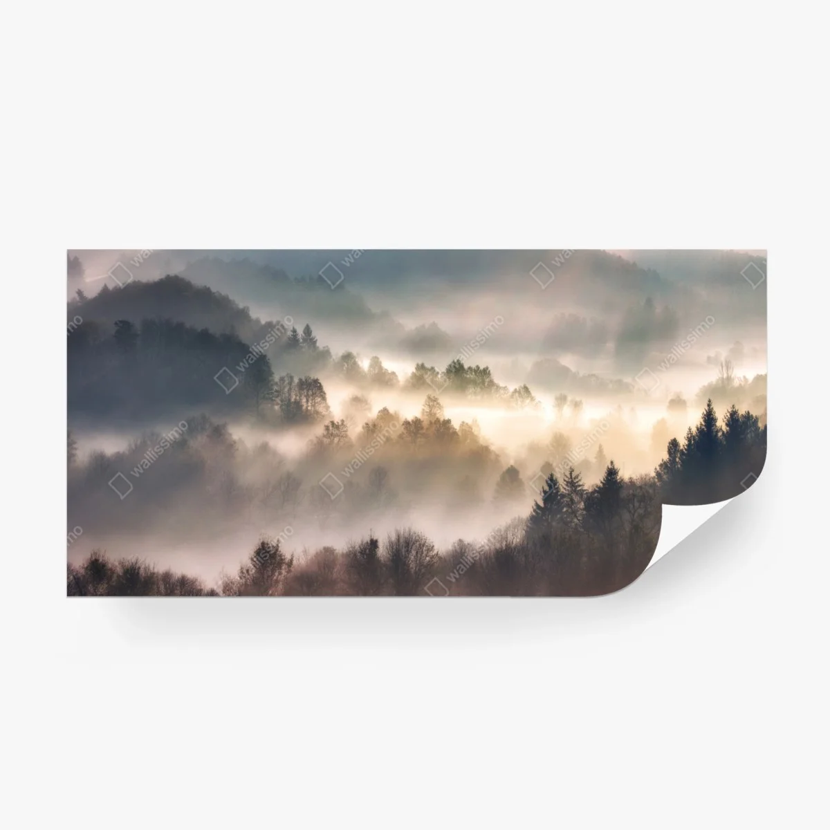 Papier peint brume matinale sur la forêt – Wallnifity® Papier peint brume matinale sur la forêt – Wallnifity®