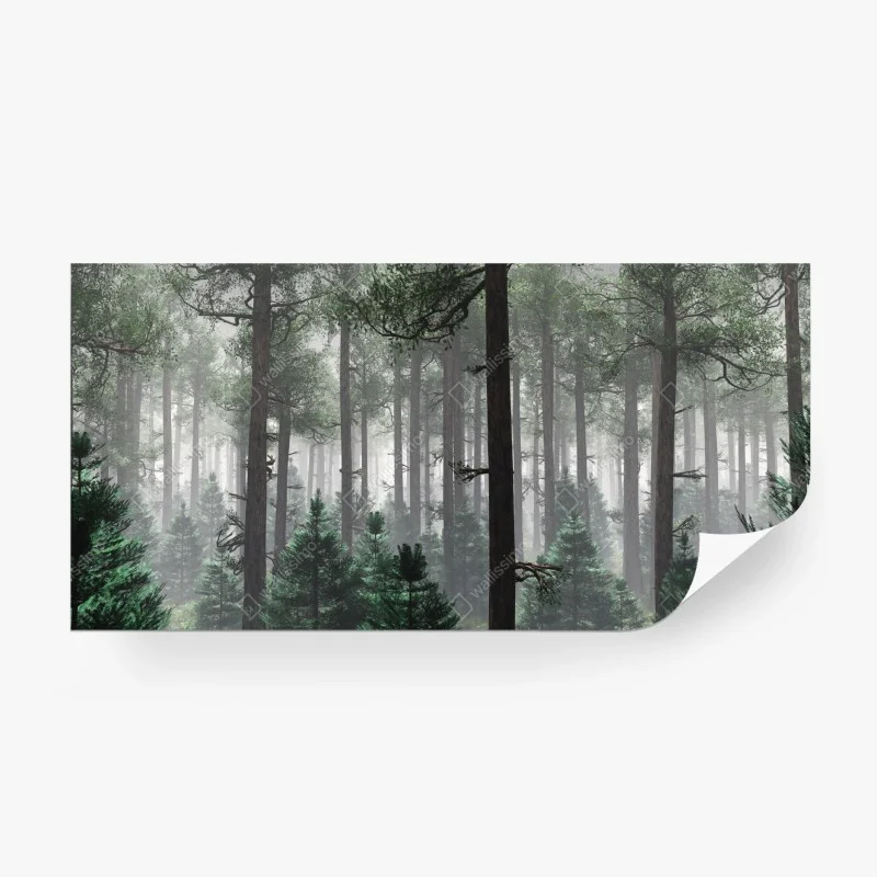 Papier peint forêt brumeuse et mystérieuse – Wallnifity® Papier peint forêt brumeuse et mystérieuse – Wallnifity®