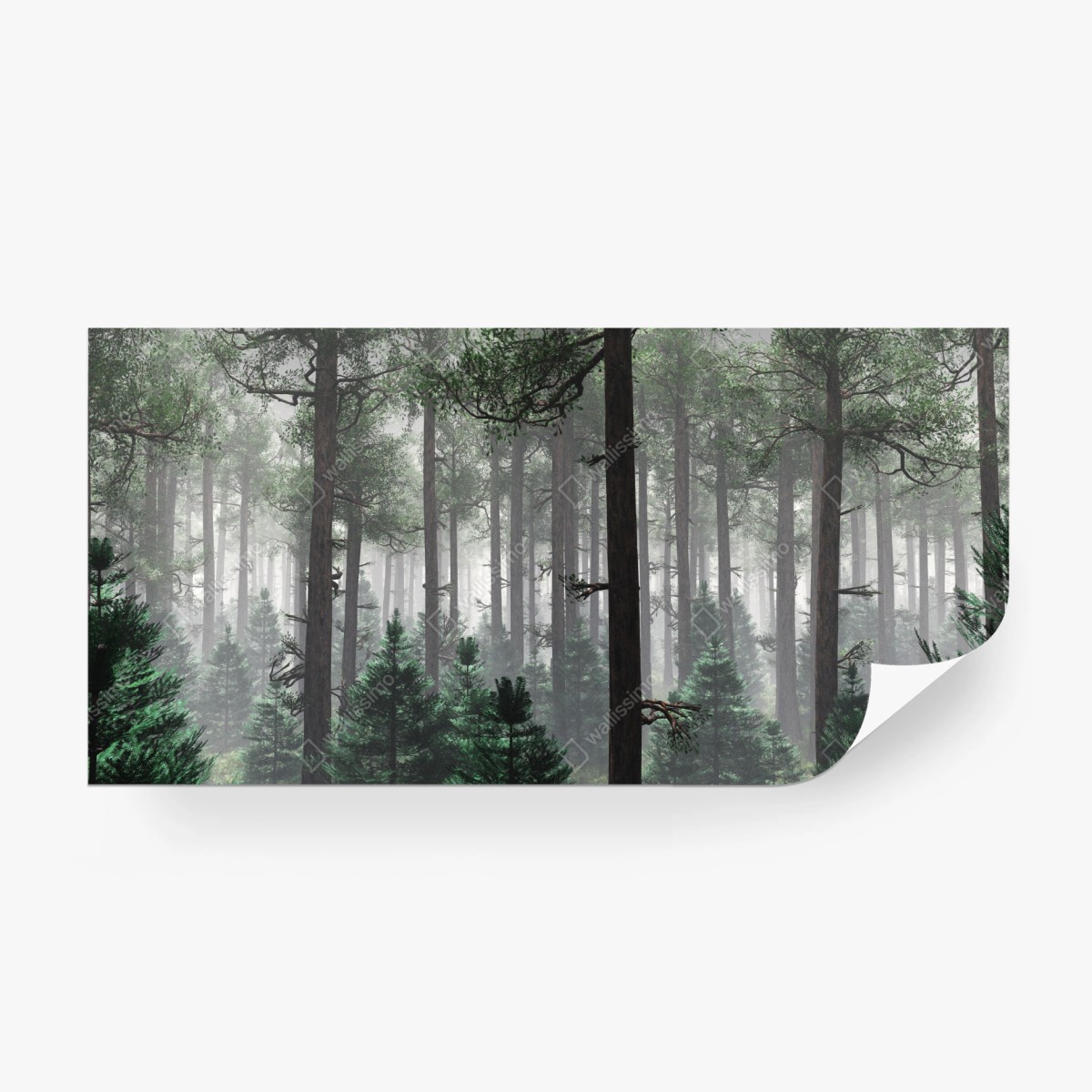 Papier peint forêt brumeuse et mystérieuse – Wallnifity®