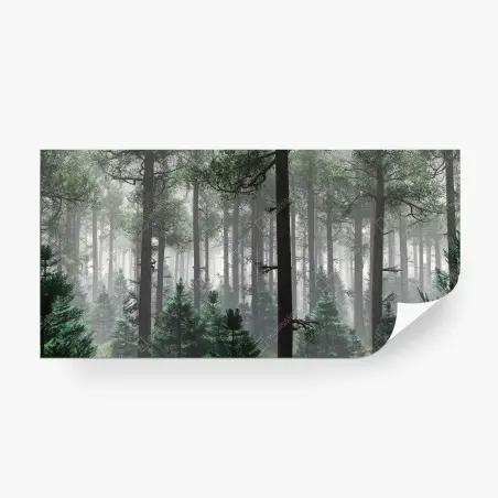 Papier peint forêt brumeuse et mystérieuse – Wallnifity®
