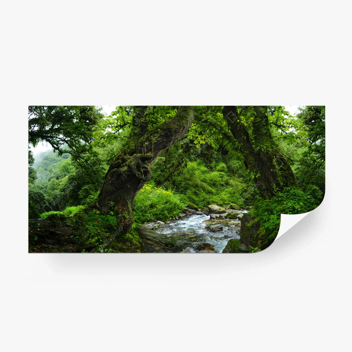 Papier peint arc naturel verdoyant au bord du ruisseau – Wallnifity® Papier peint arc naturel verdoyant au bord du ruisseau – Wallnifity®