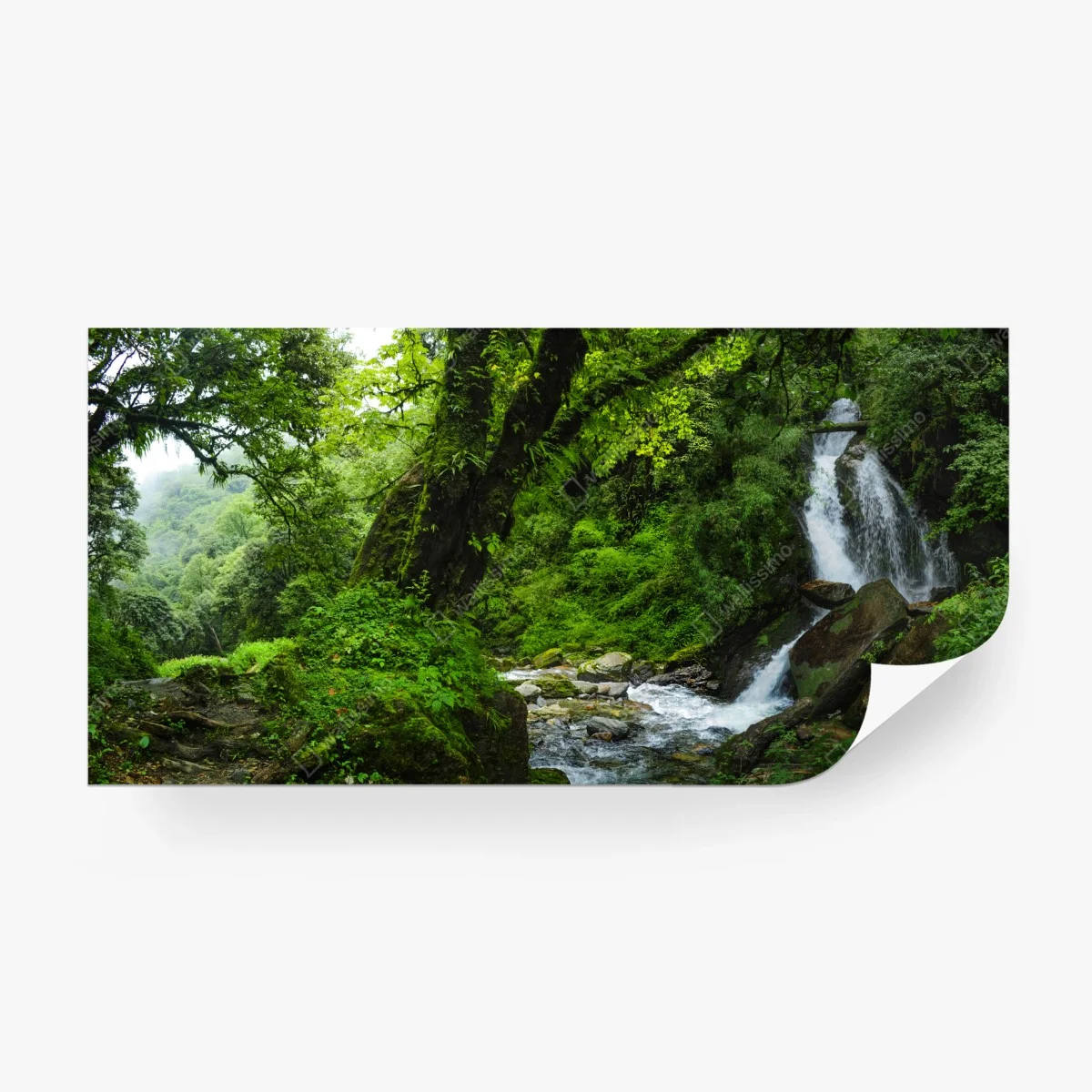 Papier peint cascade tranquille dans une forêt verdoyante – Wallnifity® Papier peint cascade tranquille dans une forêt verdoyante – Wallnifity®