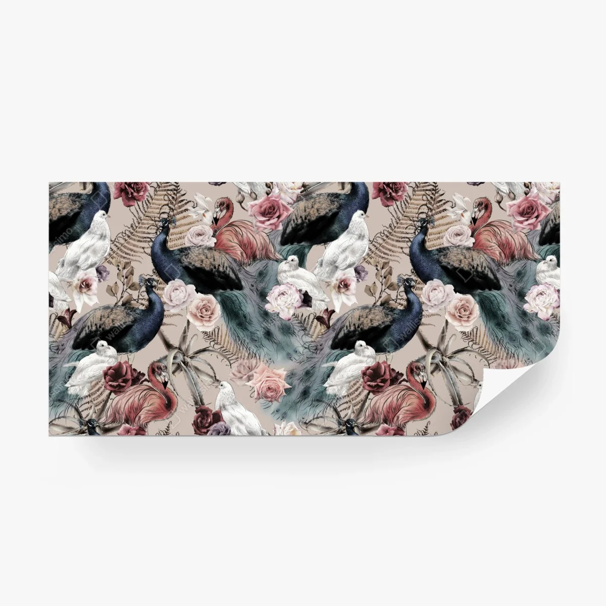 Papier peint parade de plumes et roses en aquarelle – Wallnifity®