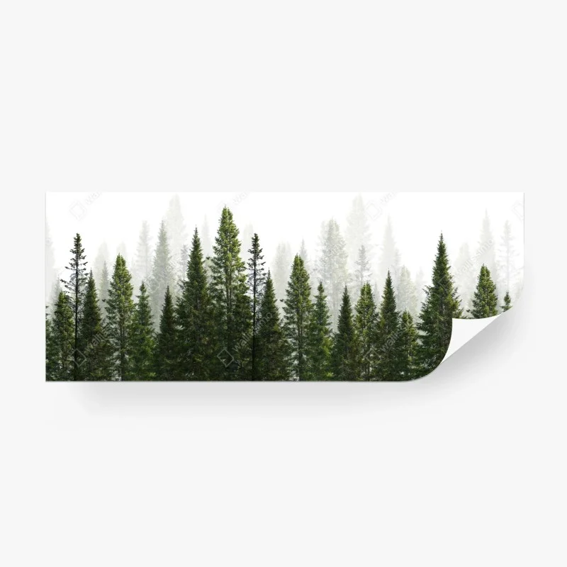 Papier peint forêt de sapins brumeuse – Wallnifity® Papier peint forêt de sapins brumeuse – Wallnifity®