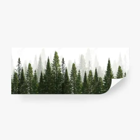 Papier peint forêt de sapins brumeuse – Wallnifity®