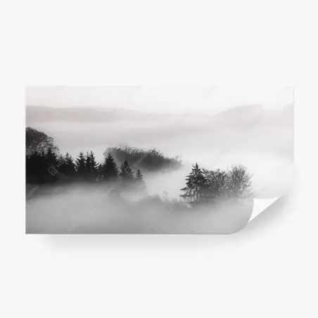 Papier peint forêt embrumée en noir et blanc – Wallnifity®