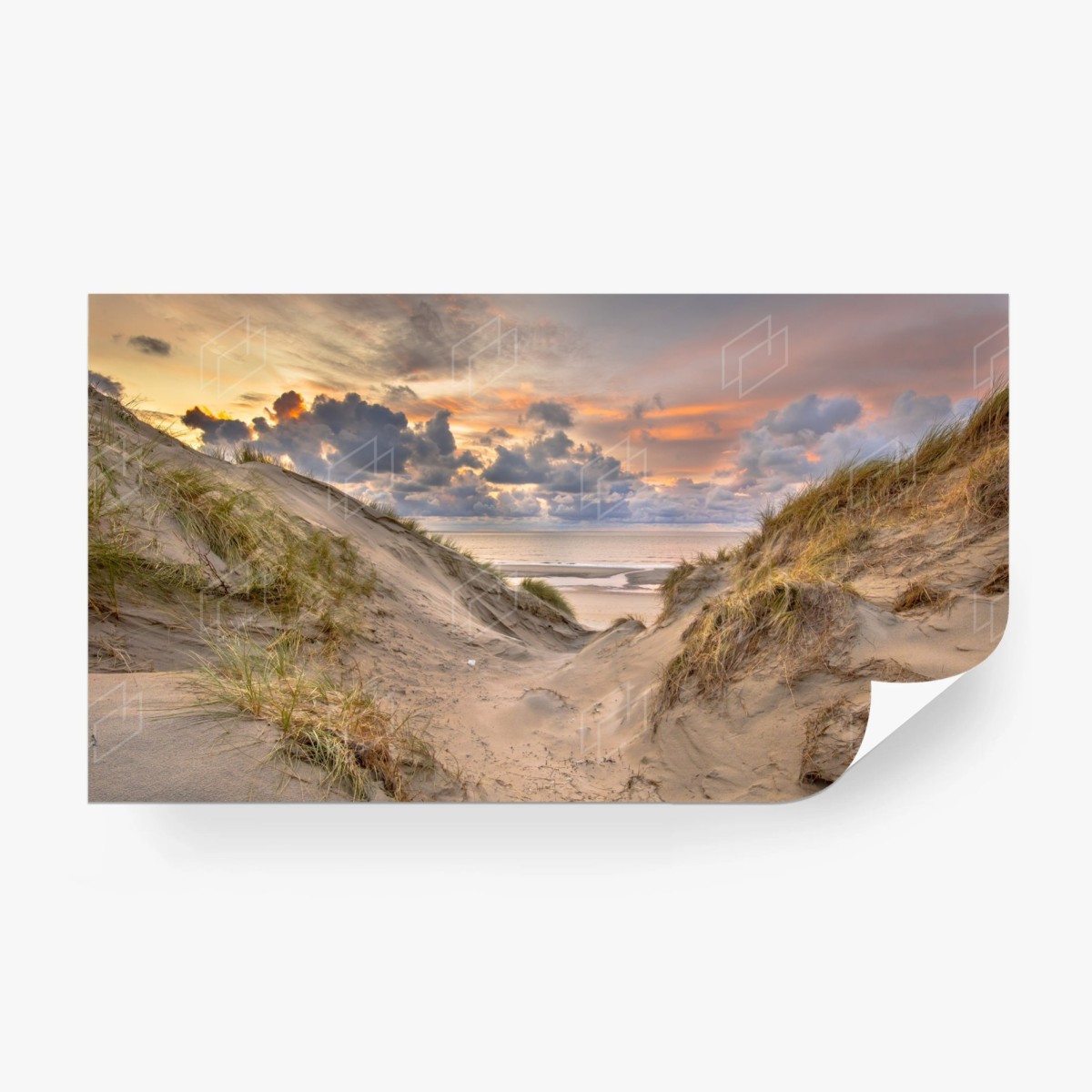Papier peint coucher de soleil sur les dunes de Zélande – Wallnifity®