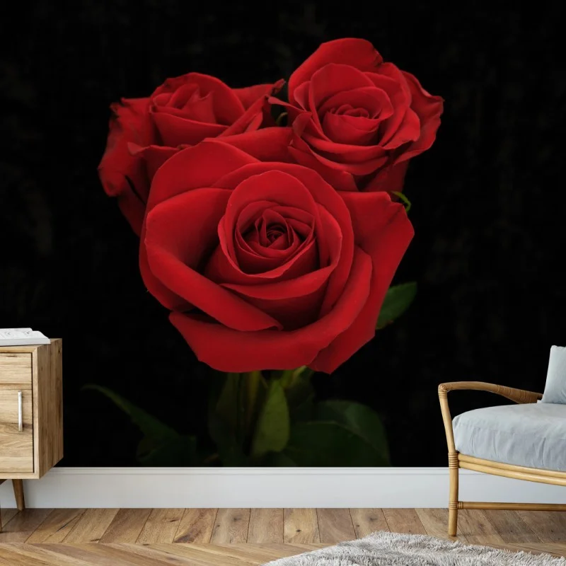 Papier peint bouquet de roses rouges sur fond noir – Wallnifity® Papier peint bouquet de roses rouges sur fond noir – Wallnifity®