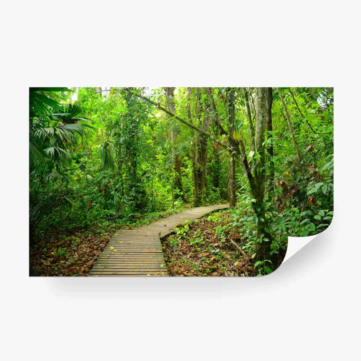 Papier peint chemin en bois au cœur de la forêt tropicale – Wallnifity® Papier peint chemin en bois au cœur de la forêt tropicale – Wallnifity®