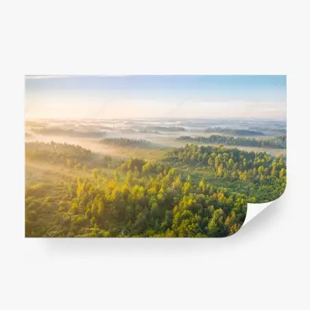 Papier peint brume matinale au marais de Zvanets – Wallnifity®