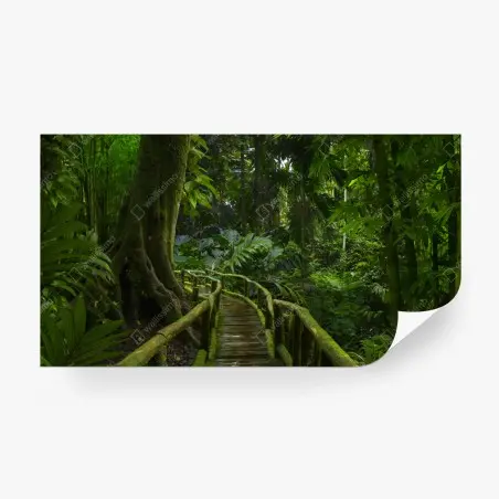 Papier peint promenade mystérieuse au cœur de la jungle – Wallnifity®