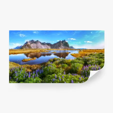 Papier peint prairie de lupins au bord de la lagune de Stokksnes, Vestrahorn – Wallnifity®