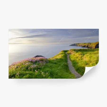 Papier peint sentier côtier au crépuscule à Ceibwr Bay, Pays de Galles – Wallnifity®