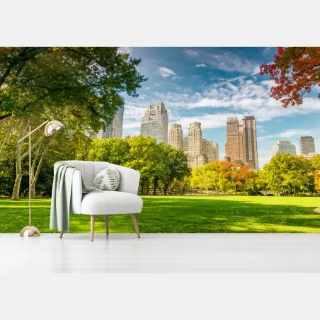 Papier peint paysage automnal à Central Park, New York – Wallnifity®